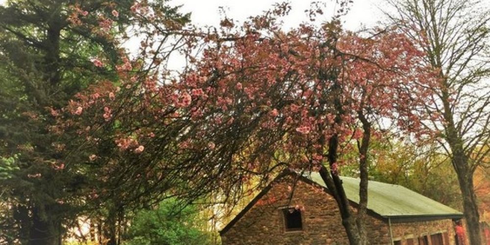 26 août - Ferme Jacob: Randonnée pédestre-VTT et repas