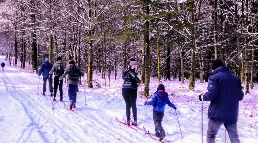 Ski de fond à Gedinne